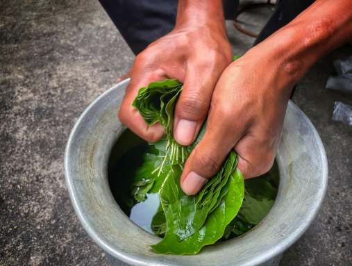 Kava vs Kratom: Differences, Effects & Which One to Choose